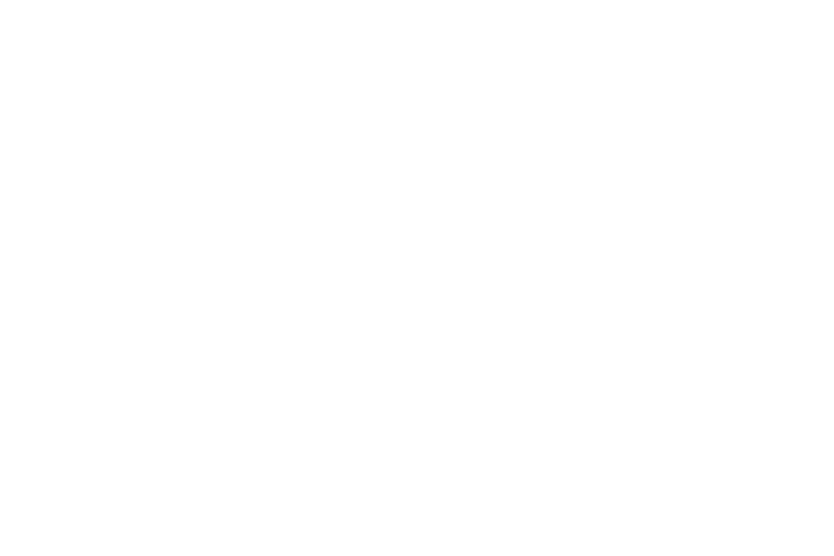 Diversifika